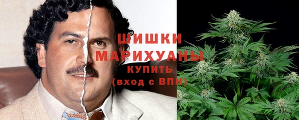 ГАЛЛЮЦИНОГЕННЫЕ ГРИБЫ Заводоуковск