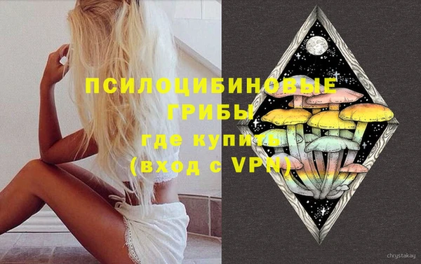 ГАЛЛЮЦИНОГЕННЫЕ ГРИБЫ Заводоуковск
